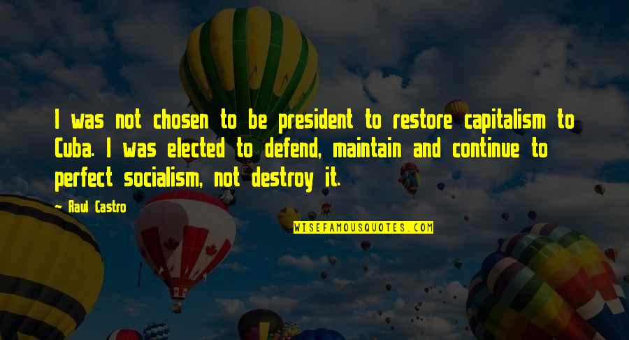 Socialism And Capitalism Quotes By Raul Castro: I was not chosen to be president to