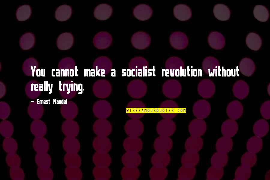Socialist Revolution Quotes By Ernest Mandel: You cannot make a socialist revolution without really
