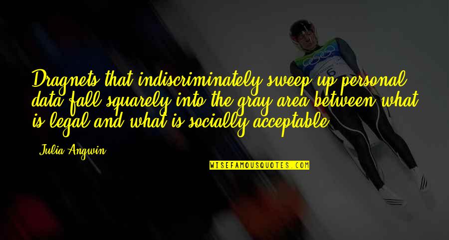 Socially Acceptable Quotes By Julia Angwin: Dragnets that indiscriminately sweep up personal data fall Socially Acceptable Quotes By Julia Angwin: Dragnets that indiscriminately sweep up personal data fall