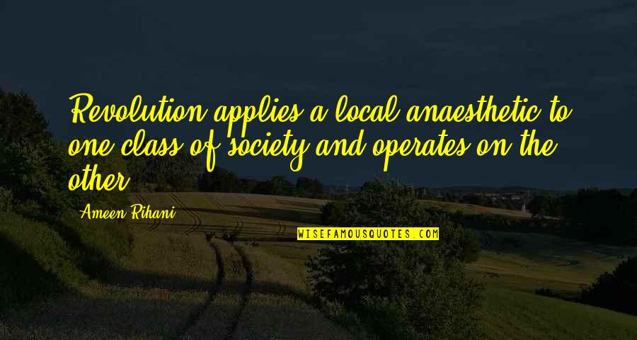 Society And Class Quotes By Ameen Rihani: Revolution applies a local anaesthetic to one class