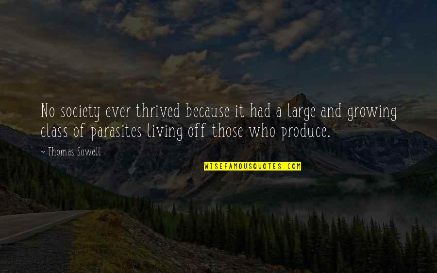 Society And Class Quotes By Thomas Sowell: No society ever thrived because it had a