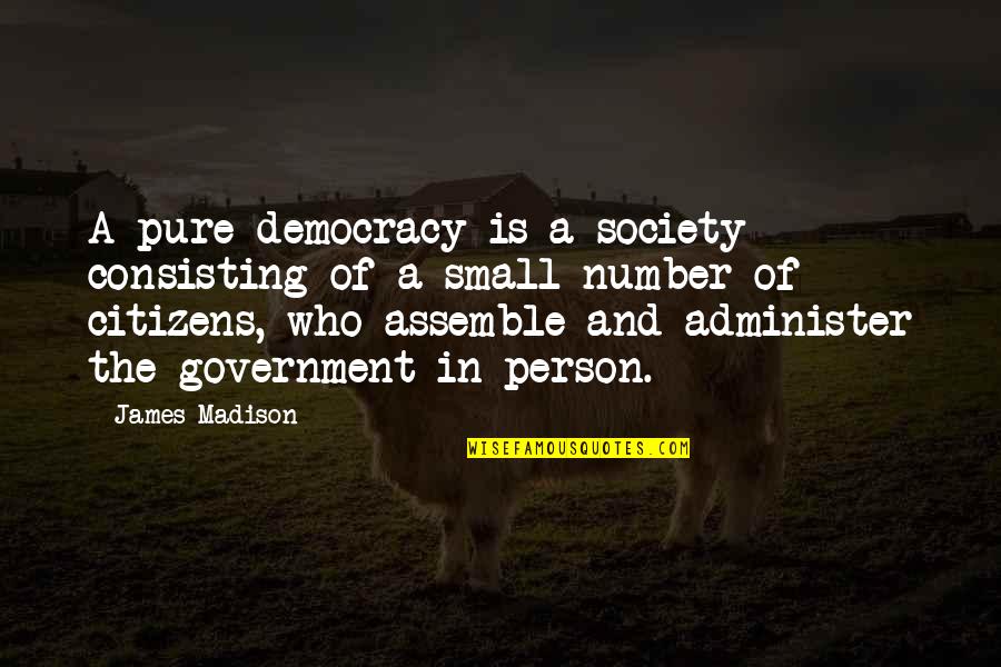 Society And Government Quotes By James Madison: A pure democracy is a society consisting of