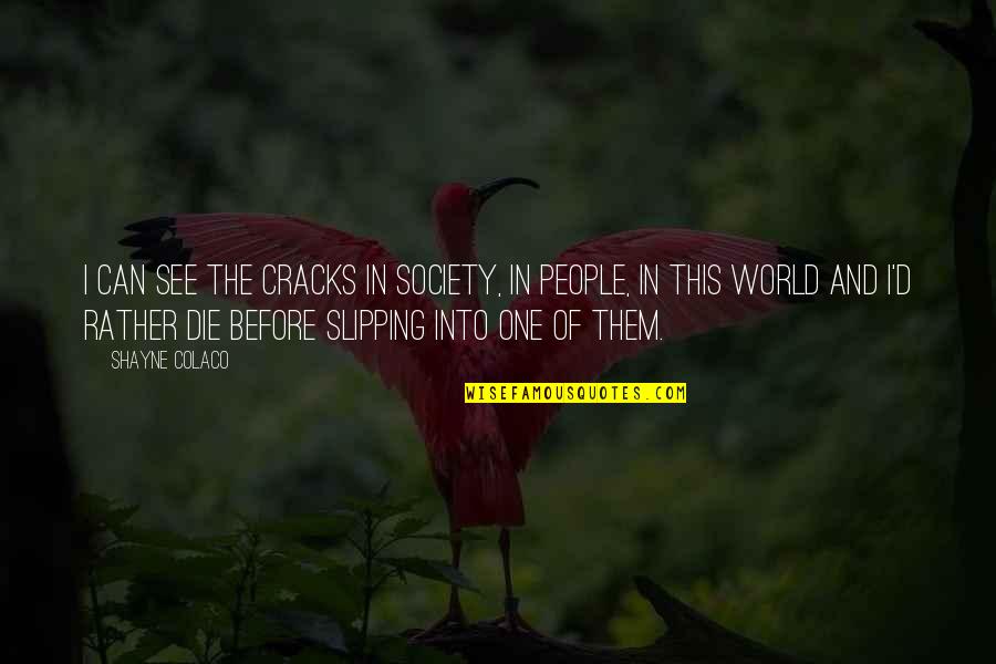 Society And The World Quotes By Shayne Colaco: I can see the cracks in society, in