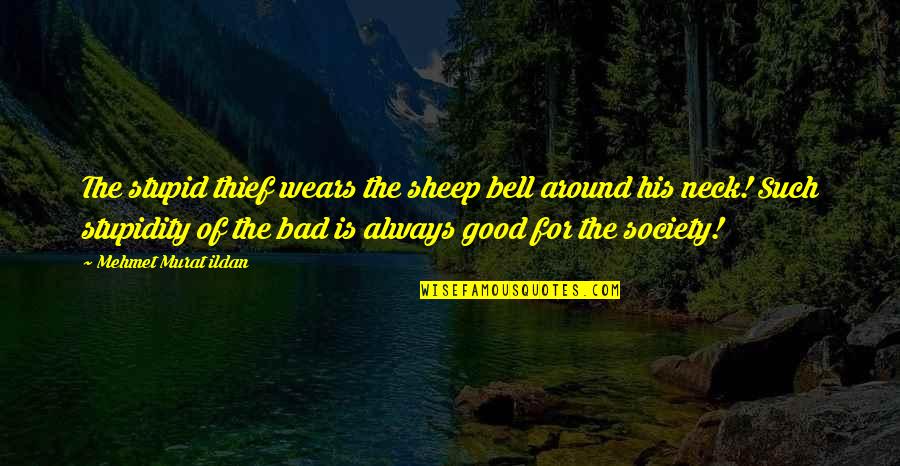 Society Is Bad Quotes By Mehmet Murat Ildan: The stupid thief wears the sheep bell around
