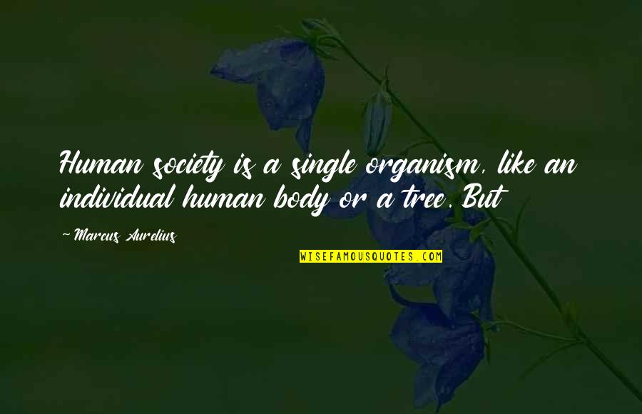 Society Over The Individual Quotes By Marcus Aurelius: Human society is a single organism, like an