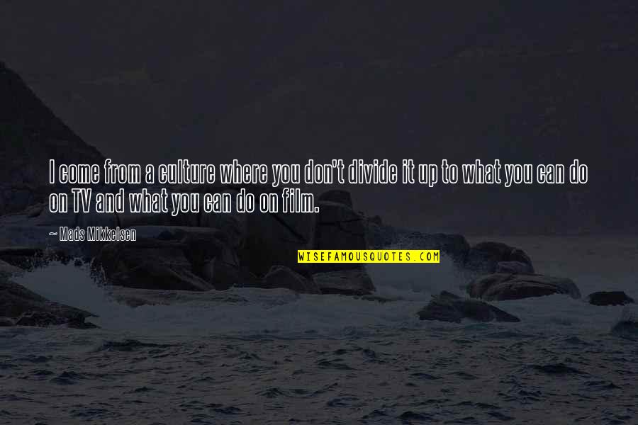 Society Shapes The Individual Quotes By Mads Mikkelsen: I come from a culture where you don't