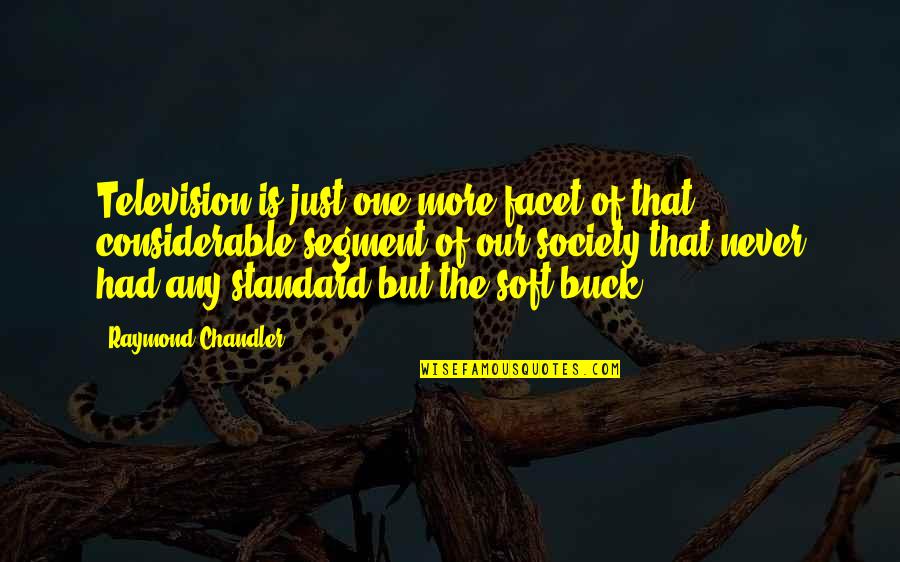 Society Standard Quotes By Raymond Chandler: Television is just one more facet of that
