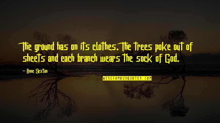 Sock Quotes By Anne Sexton: The ground has on its clothes. The trees