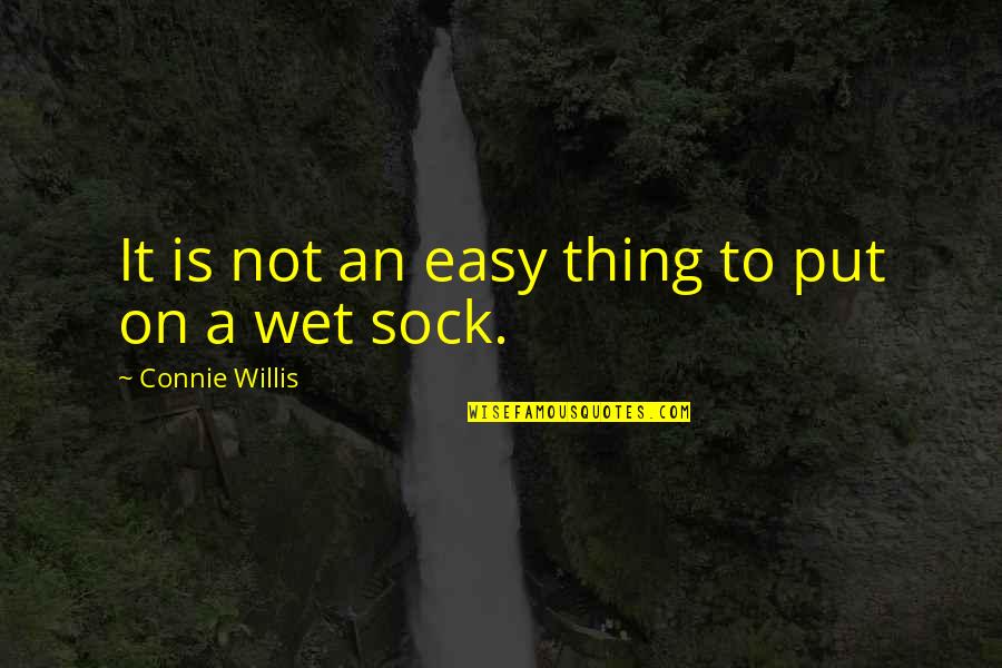 Sock Quotes By Connie Willis: It is not an easy thing to put
