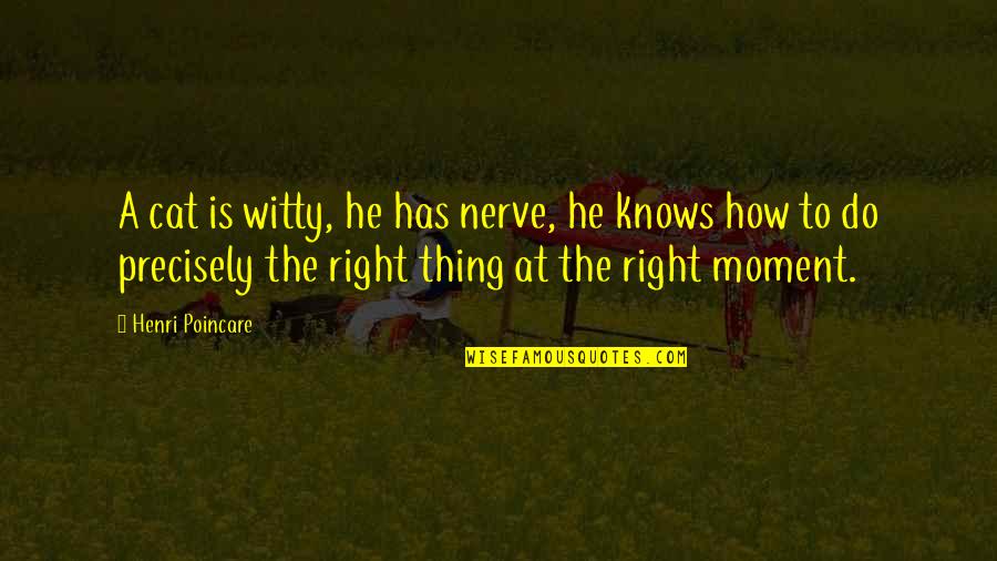 Sockalexis Arena Quotes By Henri Poincare: A cat is witty, he has nerve, he