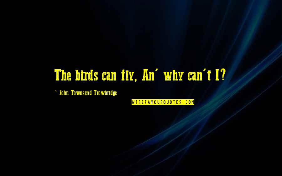 Socked Quotes By John Townsend Trowbridge: The birds can fly, An' why can't I?