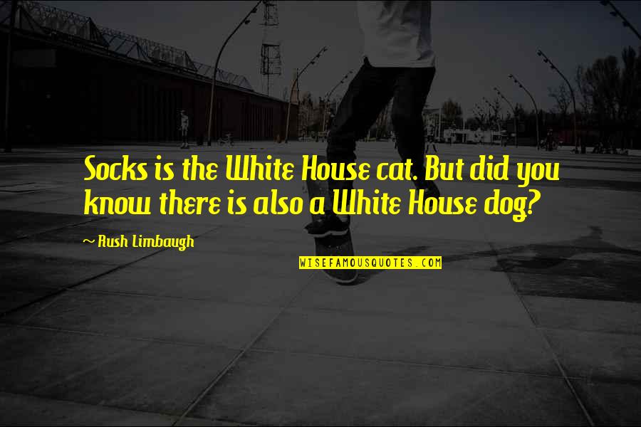 Socks Quotes By Rush Limbaugh: Socks is the White House cat. But did