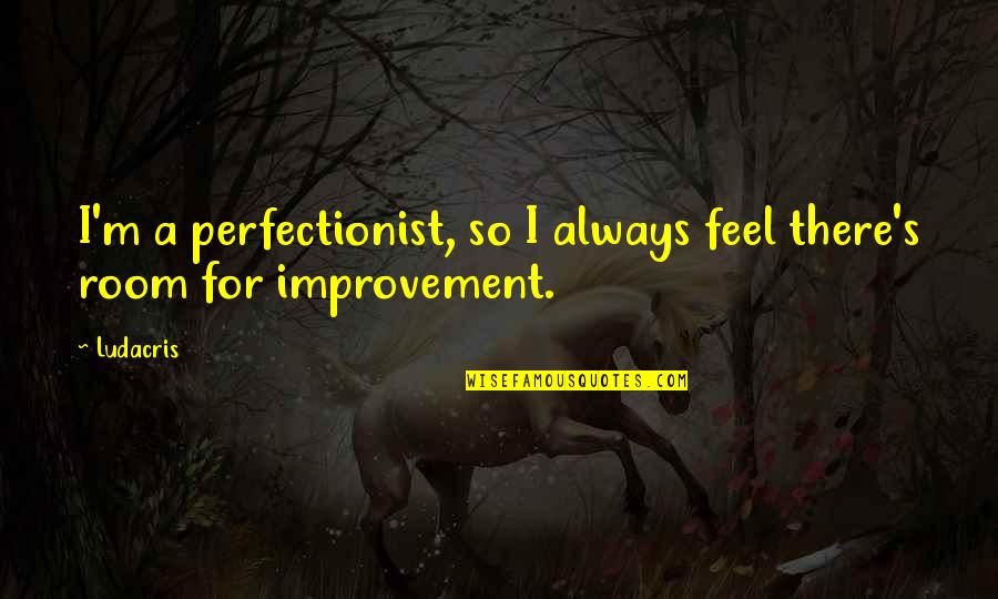 Socrates Gadfly Quotes By Ludacris: I'm a perfectionist, so I always feel there's