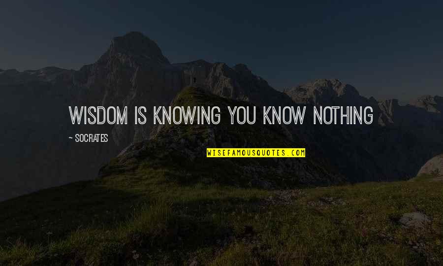 Socrates Know Nothing Quote Quotes By Socrates: Wisdom is knowing you know nothing