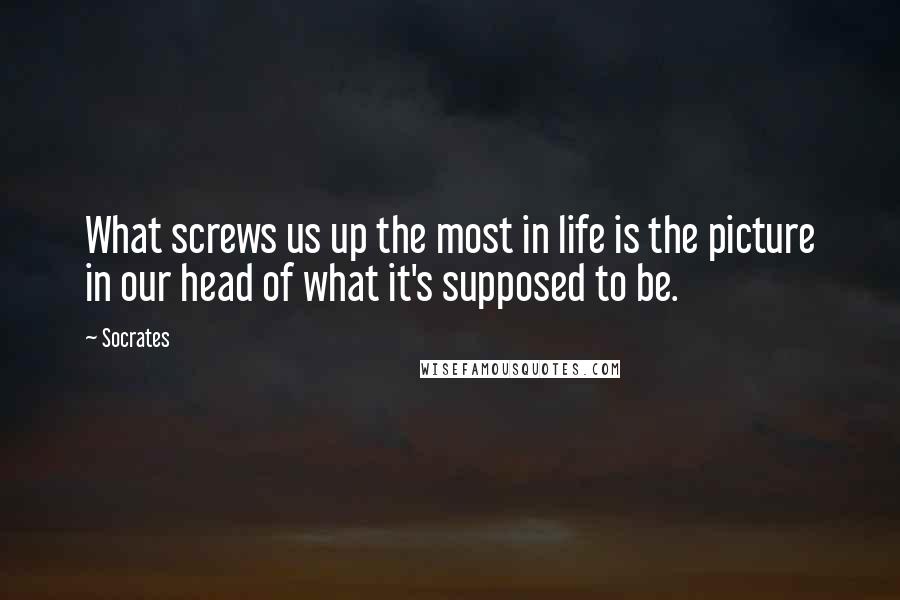 Socrates quotes: What screws us up the most in life is the picture in our head of what it's supposed to be. Socrates quotes: What screws us up the most in life is the picture in our head of what it's supposed to be.