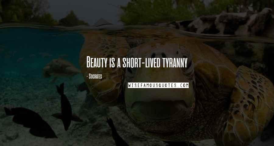 Socrates quotes: Beauty is a short-lived tyranny Socrates quotes: Beauty is a short-lived tyranny