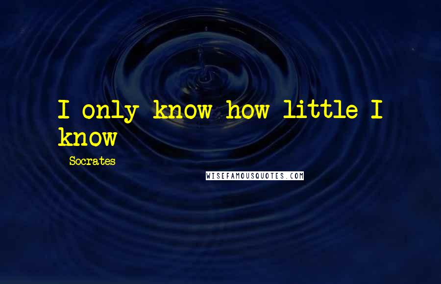 Socrates quotes: I only know how little I know