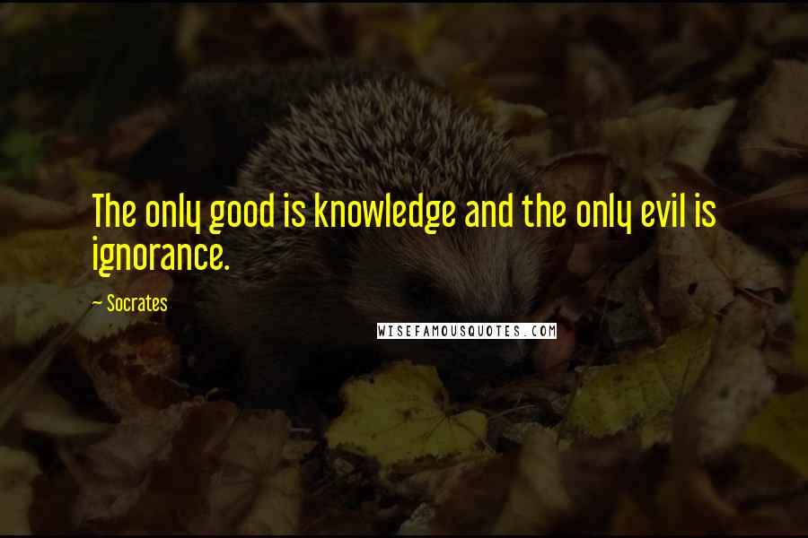Socrates quotes: The only good is knowledge and the only evil is ignorance.