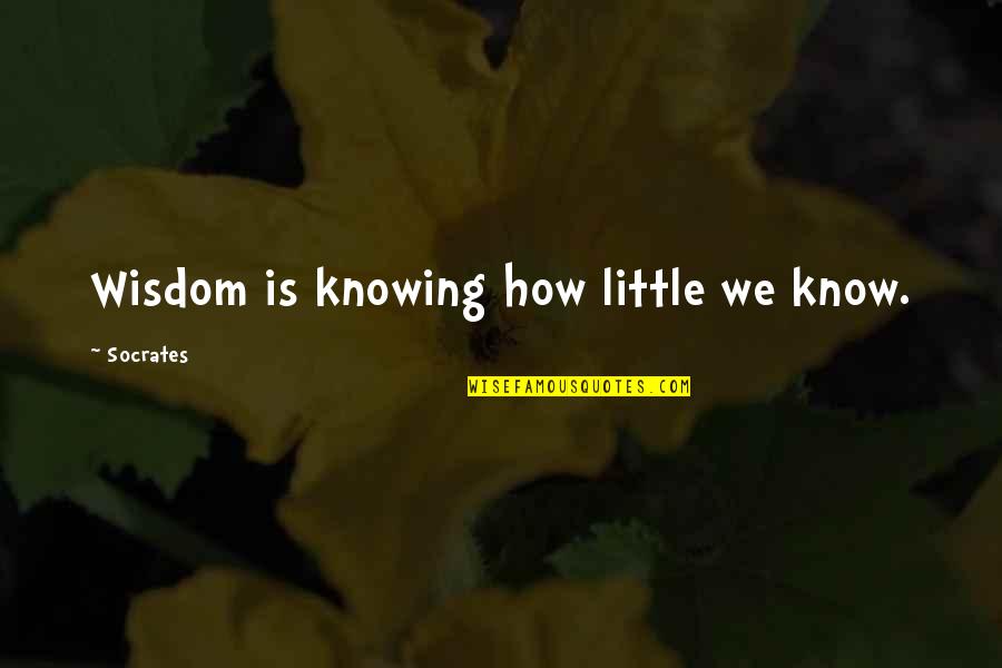 Socrates Quotes By Socrates: Wisdom is knowing how little we know. Socrates Quotes By Socrates: Wisdom is knowing how little we know.