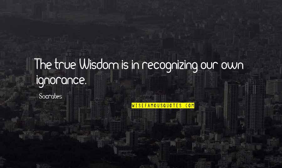 Socrates Wisdom Quotes By Socrates: The true Wisdom is in recognizing our own