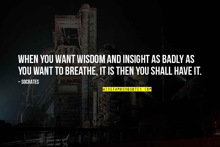 Socrates Wisdom Quotes By Socrates: When you want wisdom and insight as badly