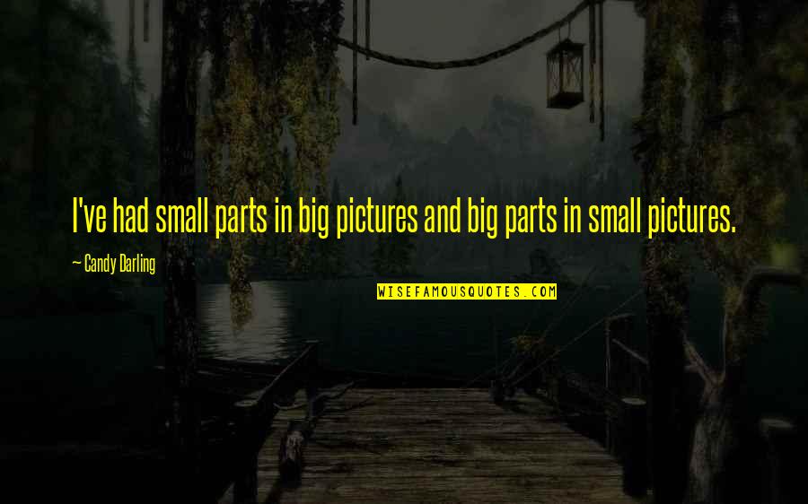Soda Cans Quotes By Candy Darling: I've had small parts in big pictures and
