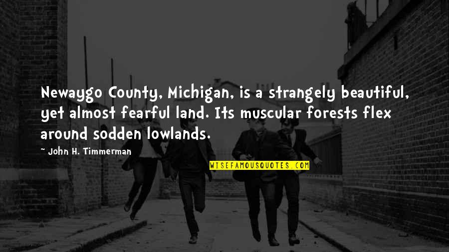 Sodden Quotes By John H. Timmerman: Newaygo County, Michigan, is a strangely beautiful, yet