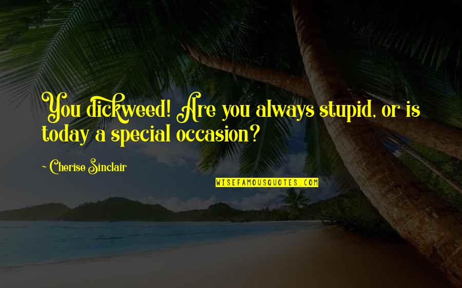 Sods Law Quotes By Cherise Sinclair: You dickweed! Are you always stupid, or is