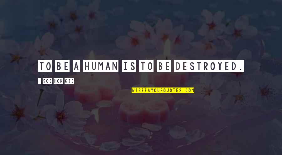 Soe Quotes By Soe Hok Gie: To be a human is to be destroyed.