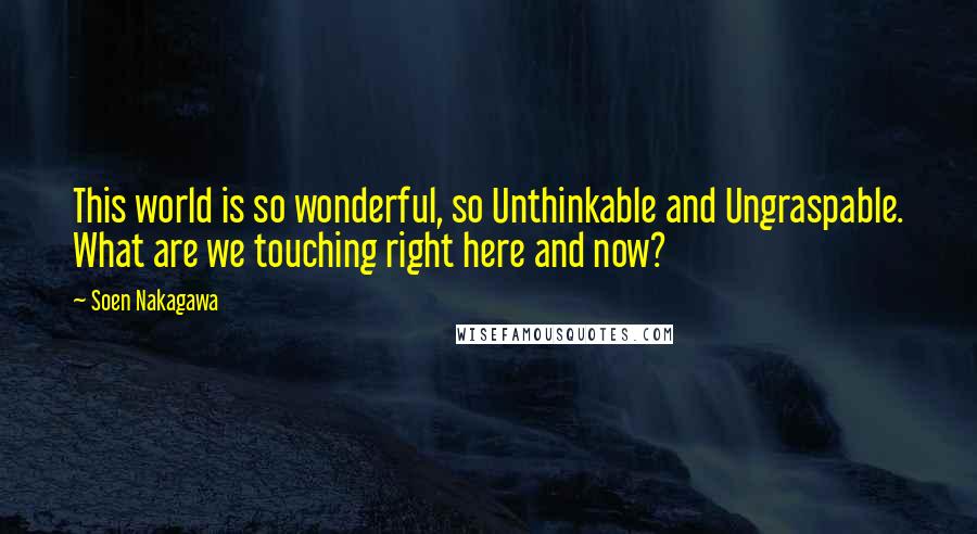 Soen Nakagawa quotes: This world is so wonderful, so Unthinkable and Ungraspable. What are we touching right here and now?