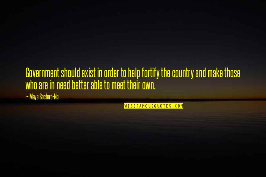 Soetoro Ng Quotes By Maya Soetoro-Ng: Government should exist in order to help fortify Soetoro Ng Quotes By Maya Soetoro-Ng: Government should exist in order to help fortify