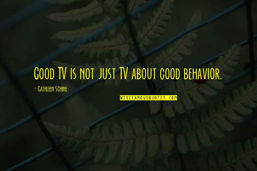 Soevereinen Quotes By Cathleen Schine: Good TV is not just TV about good