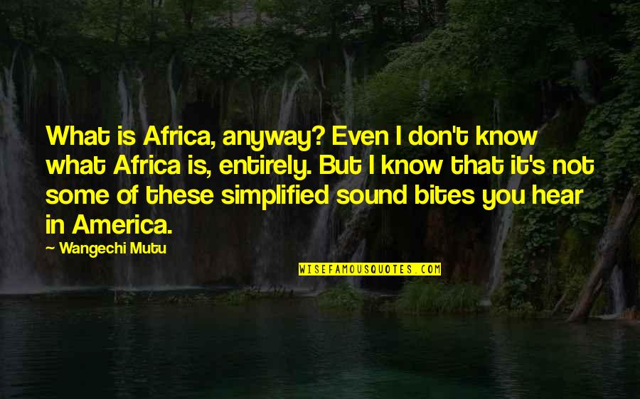 Soffrono Di Quotes By Wangechi Mutu: What is Africa, anyway? Even I don't know