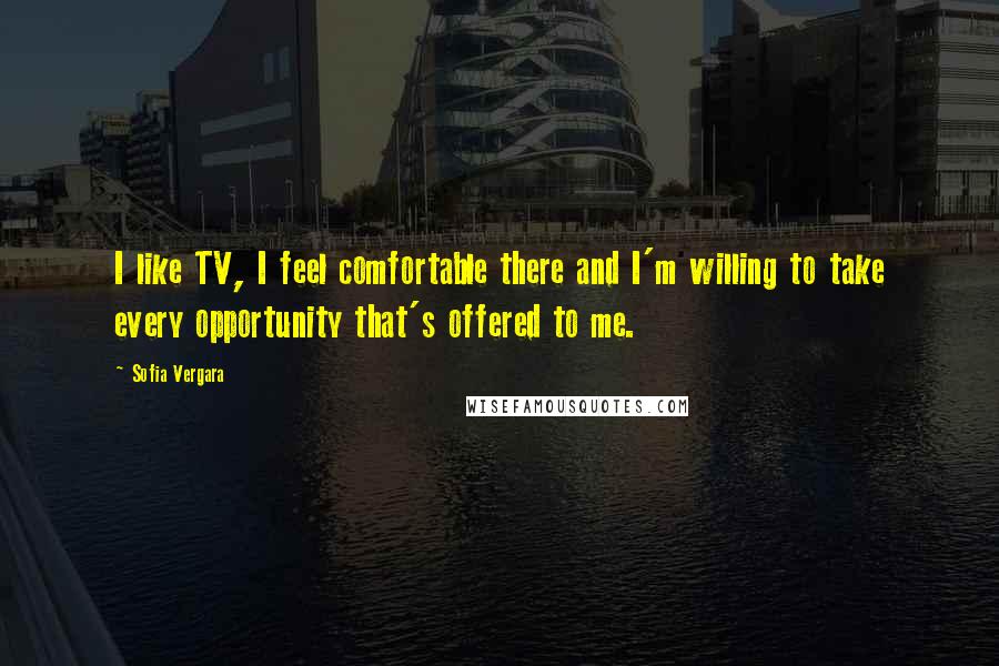 Sofia Vergara quotes: I like TV, I feel comfortable there and I'm willing to take every opportunity that's offered to me.