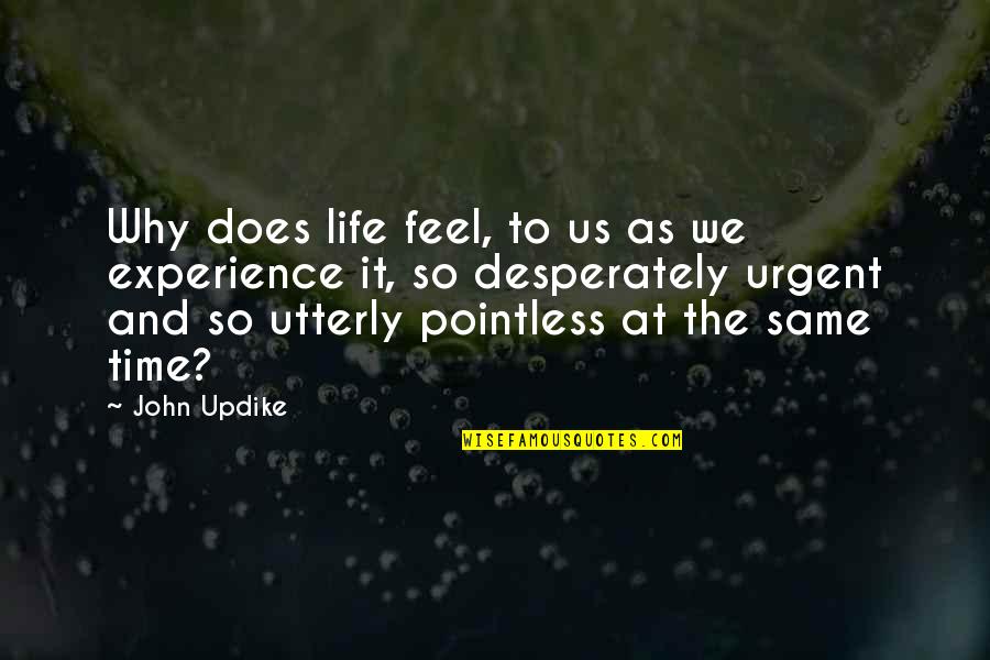 Softball Family Quotes By John Updike: Why does life feel, to us as we