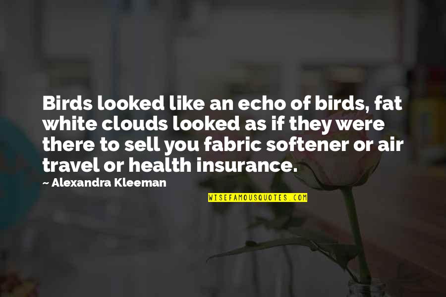 Softener Quotes By Alexandra Kleeman: Birds looked like an echo of birds, fat