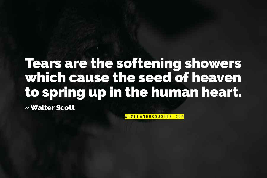 Softening Quotes By Walter Scott: Tears are the softening showers which cause the