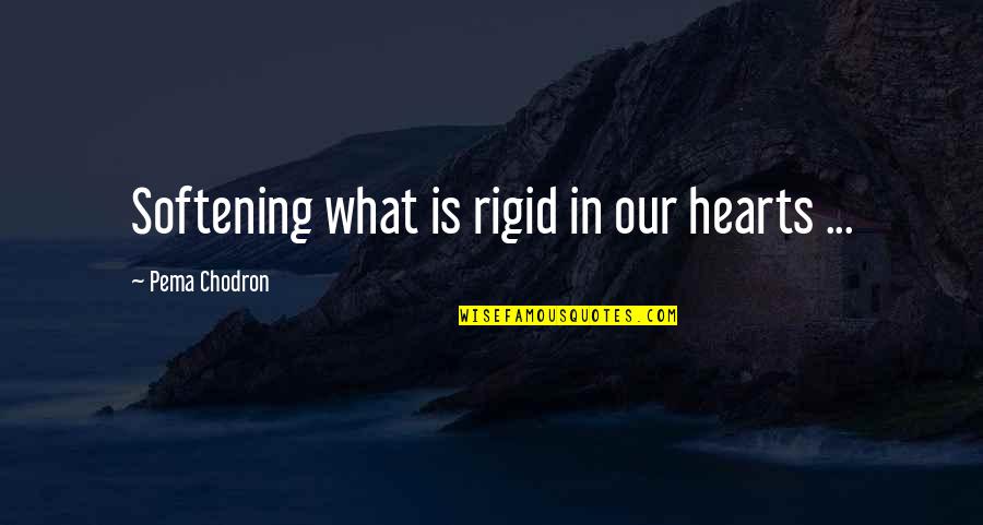 Softening Your Heart Quotes By Pema Chodron: Softening what is rigid in our hearts ...