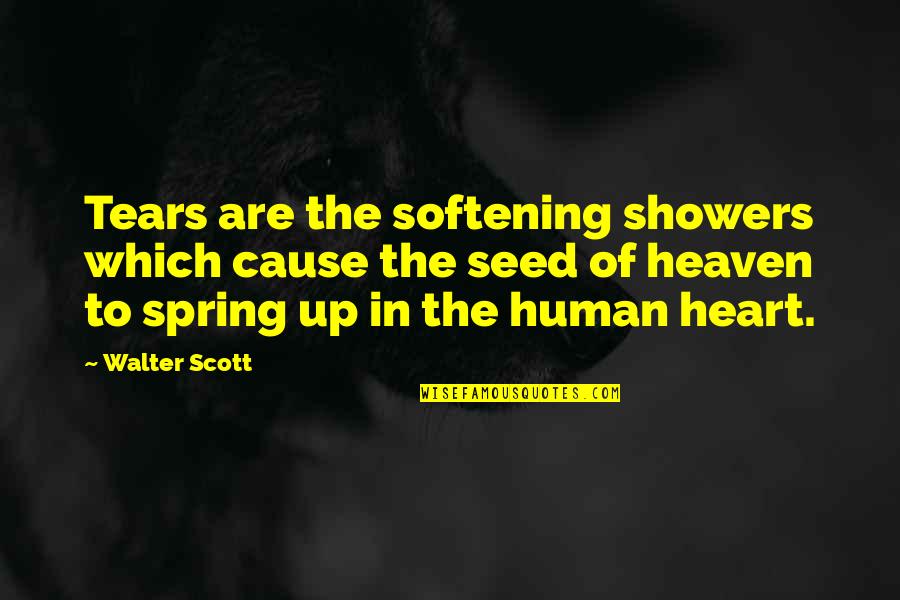 Softening Your Heart Quotes By Walter Scott: Tears are the softening showers which cause the