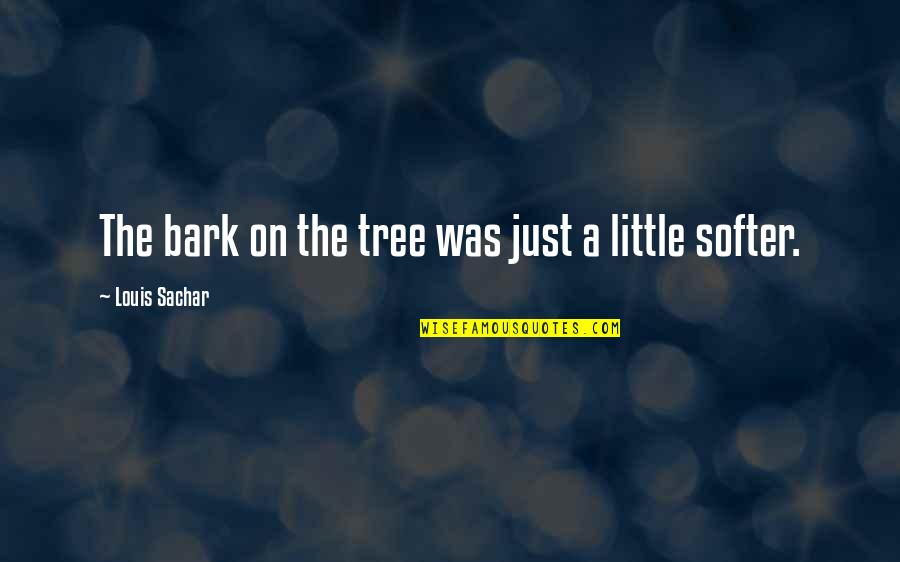 Softer Than Quotes By Louis Sachar: The bark on the tree was just a