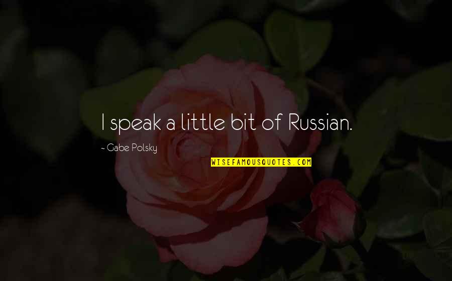 Softie Quotes By Gabe Polsky: I speak a little bit of Russian.