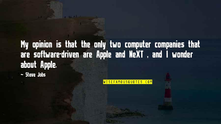 Software Companies Quotes By Steve Jobs: My opinion is that the only two computer