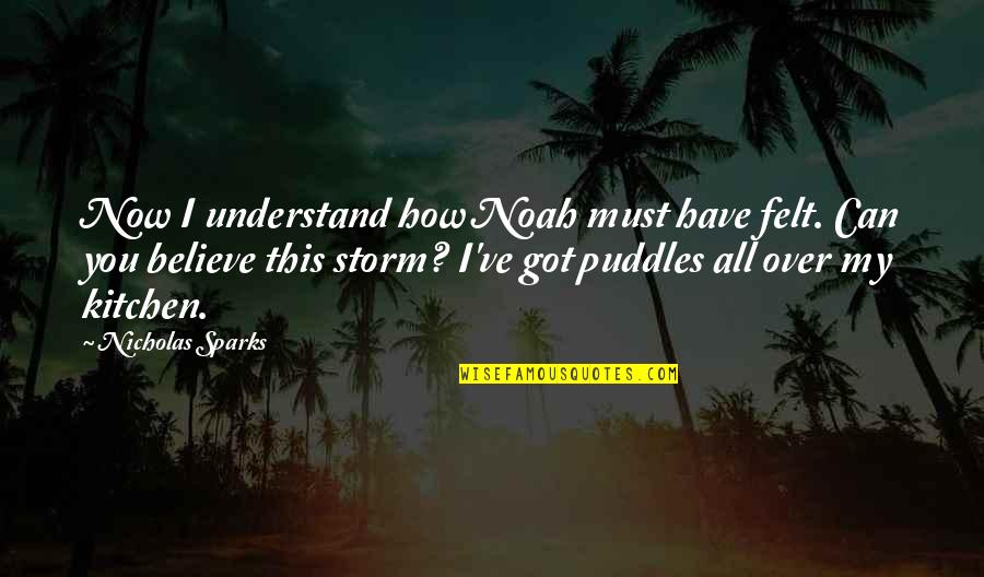 Software Development Life Cycle Quotes By Nicholas Sparks: Now I understand how Noah must have felt.