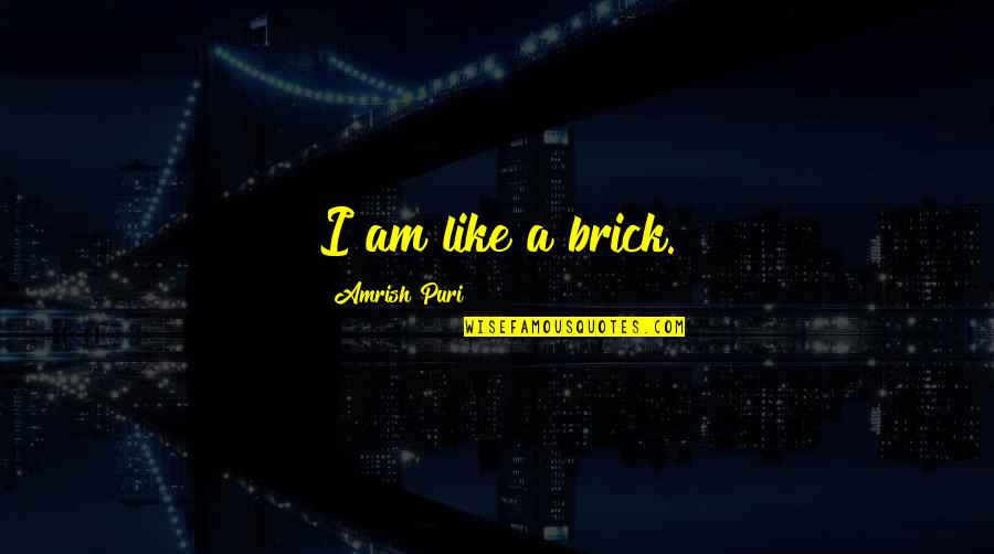 Software Testing Related Quotes By Amrish Puri: I am like a brick. Software Testing Related Quotes By Amrish Puri: I am like a brick.