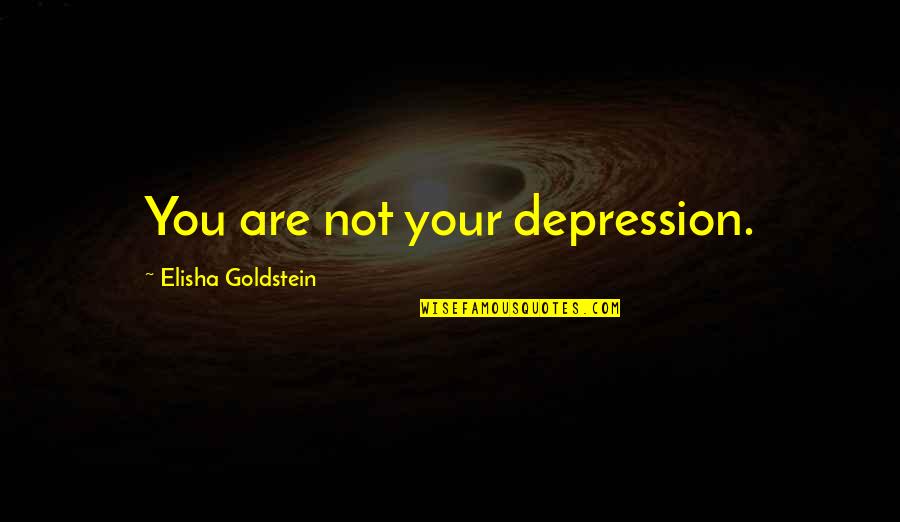 Sogar Theater Quotes By Elisha Goldstein: You are not your depression.