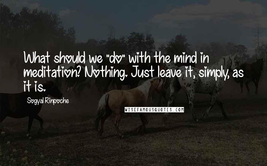 Sogyal Rinpoche quotes: What should we "do" with the mind in meditation? Nothing. Just leave it, simply, as it is.