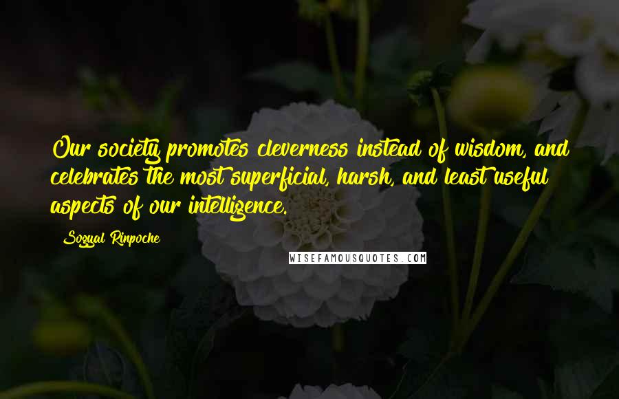 Sogyal Rinpoche quotes: Our society promotes cleverness instead of wisdom, and celebrates the most superficial, harsh, and least useful aspects of our intelligence.