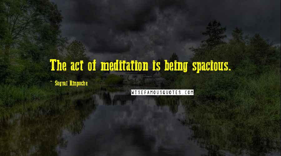 Sogyal Rinpoche quotes: The act of meditation is being spacious.