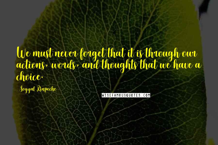 Sogyal Rinpoche quotes: We must never forget that it is through our actions, words, and thoughts that we have a choice.
