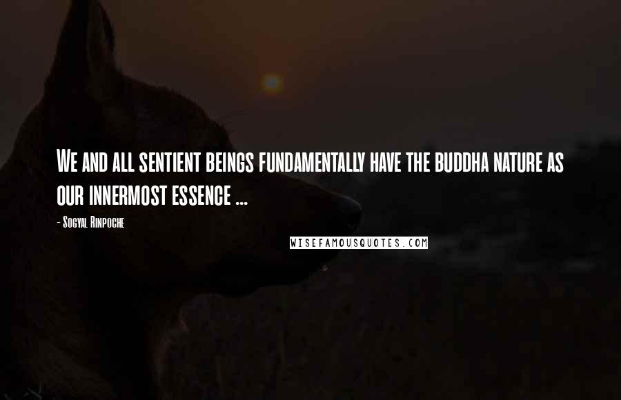 Sogyal Rinpoche quotes: We and all sentient beings fundamentally have the buddha nature as our innermost essence ...